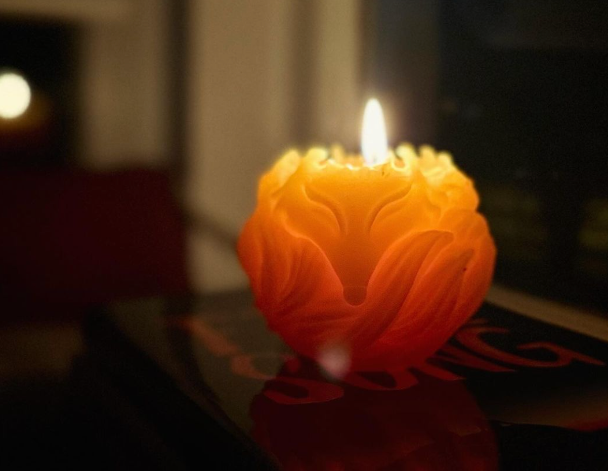 Wastew 100% Beeswax Candles